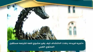 «تجربة فريدة» رحلات الاكتشاف كيف يغير مشروع كلمة للترجمة مستقبل المحتوى العربي